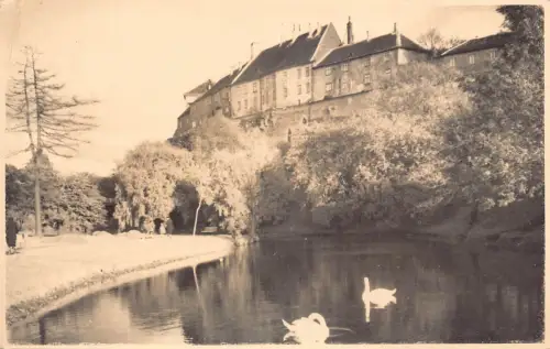 A086 Estland Tallin Vaade Toompeare Schwäne See Häuser Bäume Vintage Postkarte