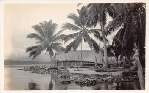 L334 Panama Pacora Beach Palmen Hütten Vintage Postkarte