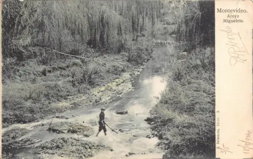L332 Uruguay Montevideo 1904 Aroyo Miguelete River Waldjunge Vintage Postkarte