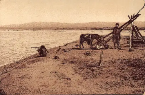 A961 Israel Die Ureinwohner des Toten Meeres Esel Vintage Postkarte