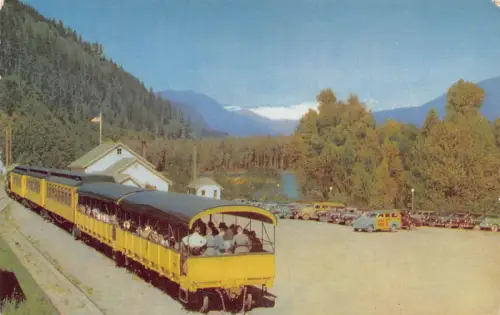 A974 US Skagit River östlich von Bellingham Washington Zugwagen Vintage Postkarte