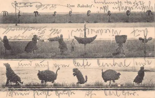 Natur Topiary Büsche Tiere vom Bahnhof Bahnhof aus gesehen 1904 Postkarte C361
