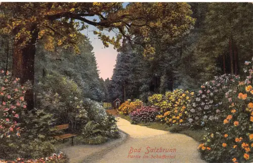 Polen 1931 Szczawno-Zdroj Bad Salzbrunn Schaffertal Blumen Postkarte C374