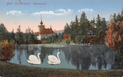 Polen 1931 Szczawno-Zdroj Bad Salzbrunn Schwedenteich See Schwäne Postkarte C374