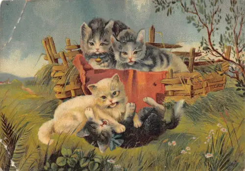 A978 Niedliche Kätzchen spielen auf Gras und Korb 1905 Katze Tiere Vintage Postkarte