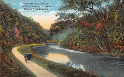 Grüße von Jamaica Bog Walk Flat Bridge in der Nähe von Kingston Car Vintage Postkarte