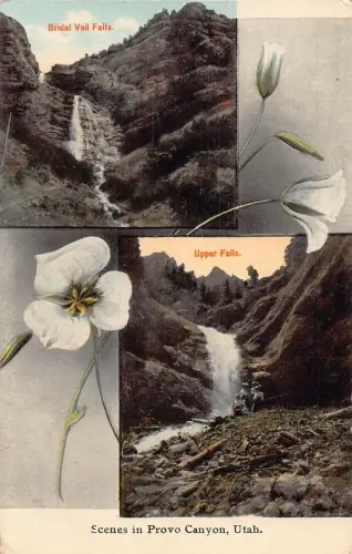 US Utah Provo Canyon Brautschleier Falls Upper Falls Blumen Vintage Postkarte