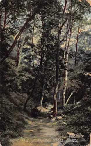 L367 England 1907 Nightingale Valley Leigh Woods Bristol Wald Vintage Postkarte