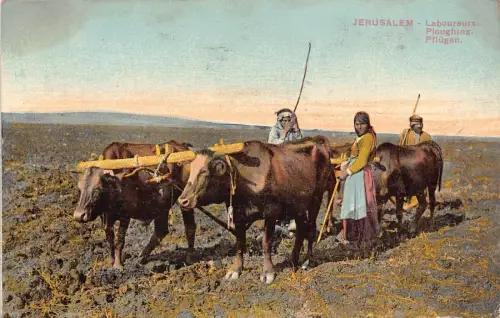 Jerusalem Israel Vier Ochsen Pflug Bauernfrauen Vintage Postkarte