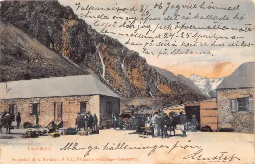 Chile Cordillera 1906 Vintage Postkarte