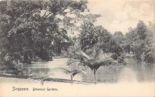 L033 Botanischer Garten Singapur Vintage Postkarte