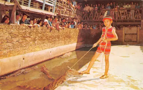 Thailand 1980 Samitprakarn Crocodile Farm Boy Vintage Postkarte