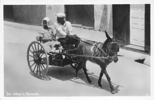 L526 Bermuda Freude reiten Eselskarre Echtfoto Vintage Postkarte