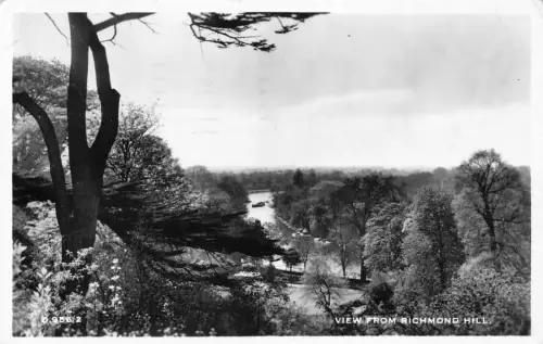 England 1964 Ansicht von Richmond Hill RPPC Vintage Postkarte