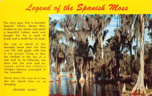 A989 US Florida Legend of the Spanish Moss Vintage Postkarte