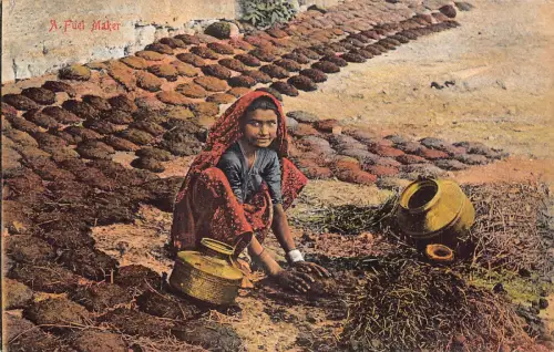 A993 Indiens einheimische Frau Treibstoffhersteller ethnische Art Postkarte