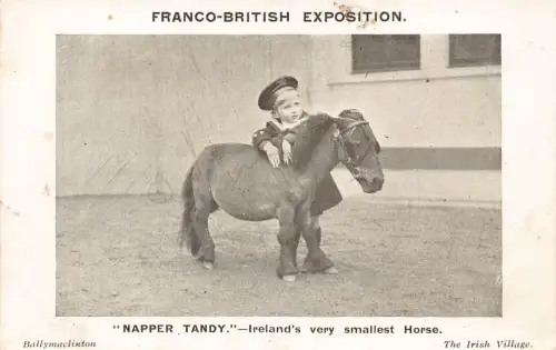 L526 Franco-British Exposition Napper Tandy kleinstes Pferd Vintage Postkarte