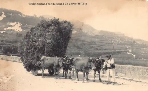 Spanien Vigo Aldeano conduciendo un Carro de Tojo Bullock Cart Bauern Postkarte