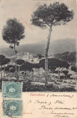 Spanien Vallvidrera Hohe Bäume ungeteilt Vintage Postkarte