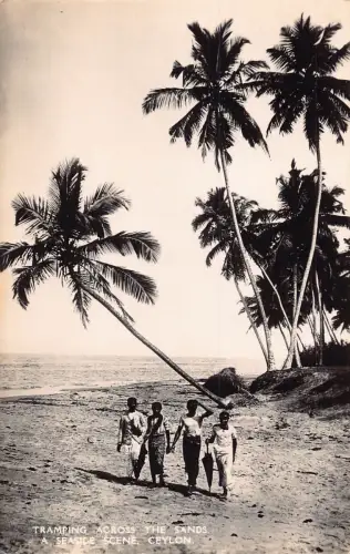 Sri Lanka Ceylon Stampfen über den Sand Mädchenstrand RPPC Postkarte