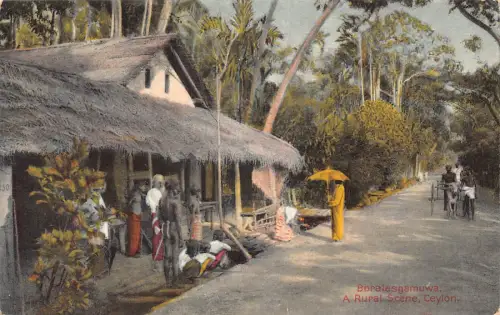 Sri Lanka Ceylon Boralesgamuwa ländliche Szene ethnische Menschen Vintage Postkarte