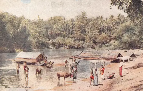 Sri Lanka Ceylon Fluss Szene Ureinwohner Boote Vintage Postkarte