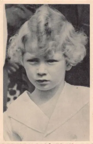 Belgisches Königshaus Prinz Albert de Lüttich Vintage Postkarte