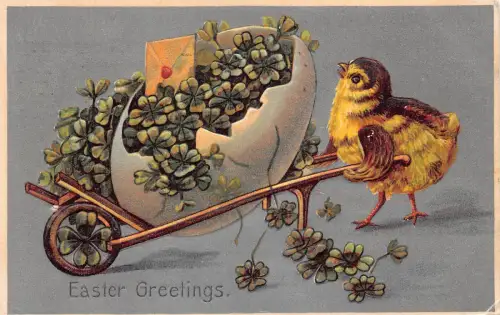 B425 Ostern 1908 Humanisierter Küken ziehen Kleeblatt Eierschalenwagen geprägte Postkarte