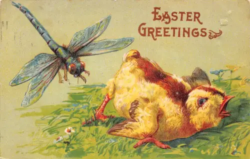 B425 Ostergrüße verletzt vermenschlichtes Küken gebissen von Libelle geprägte Postkarte