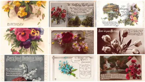 Geburtstagsgrüße Blume Rose Mohn Tulpe Vergissmeinnicht Lot 9 Postkarten B847