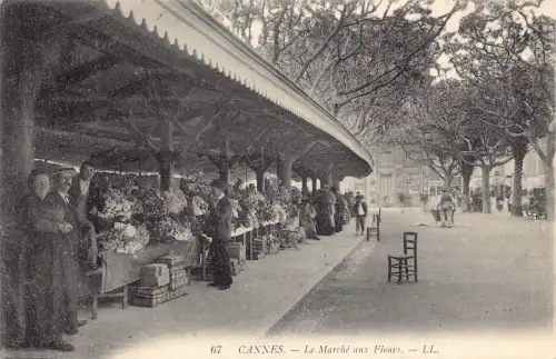 Frankreich 1908 Cannes Marche aux Fleurs Blumenmarkt Postkarte B848