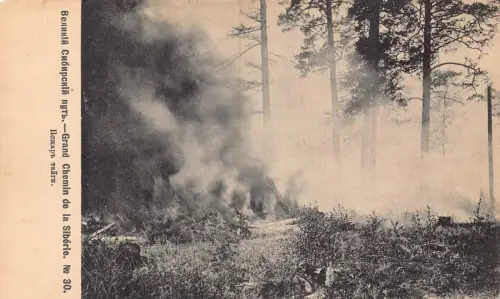 Russland Transsibirische Eisenbahn Taiga Waldbrandkatastrophe Nr 30 Postkarte B682