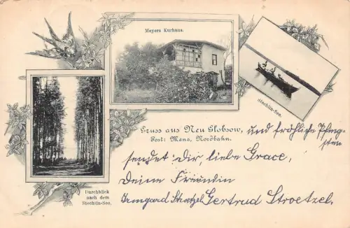 Deutschland 1902 Meyers Kurhaus Stechlin See Schwalbe Vogel Blumen Postkarte C311