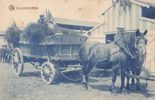 Belgien Flandern Vlaanderen Pferdekutsche Bauer Vintage Postkarte C378