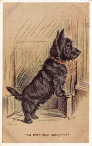 Tiere Scottish Terrier Hund Kunst von Mac Ich erwarte jemanden 1932 Postkarte C410