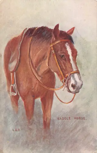 Tiere Sattel braun Pferd Kunst von LED Vintage Postkarte C410