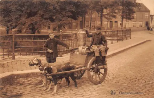 Belgien Laitiere Flamande Flämischer Milchverkäufer Jungen Hunde Wagen 1909 Postkarte C416