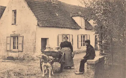Belgien Flämische Milchmädchen Verkäuferin Laitiere Flamande Hundewagen Postkarte C417