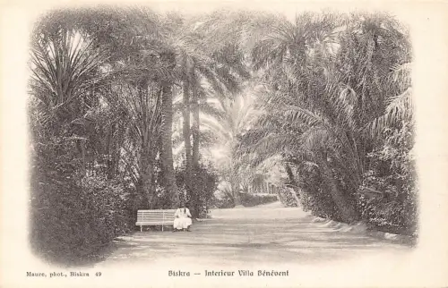 A615 Algerien Biskra Interieur Villa Benevent Bank Garten Vintage Postkarte