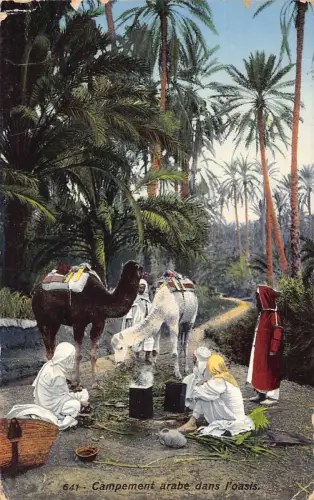 A617 Algerien 1914 Campement arabe l'oasis Ethnische Männer Camping Kamele Postkarte