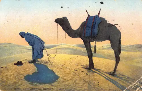 A615 Algerien 1914 ethnischer Ureinwohner betend in Wüste Kamel Vintage Postkarte