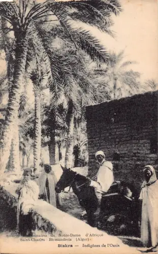 A616 Algerien Biskra Indigenes de l'Oasis Ethnische Ureinwohner Esel Postkarte