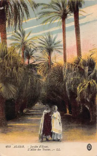 A616 Algerien Algier Alger Jardin d'Essai L'Allee des Yuccas Garten Postkarte