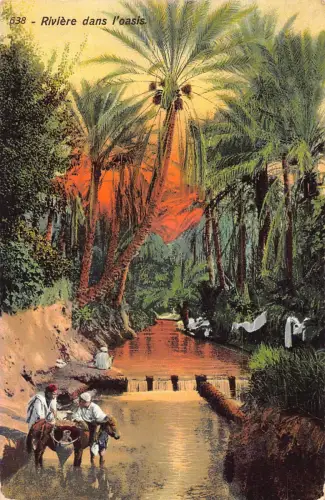 A617 Algerien 1914 Riviere dans l'oasis Palmen Vintage Postkarte