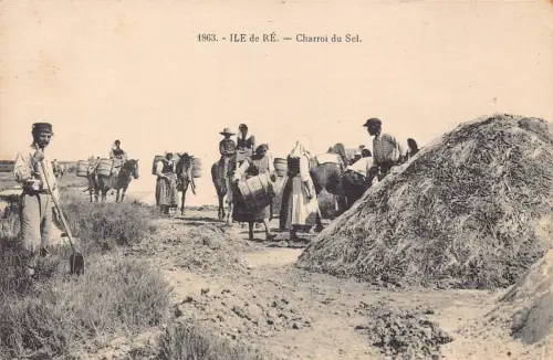 Frankreich Ile de Re Charroi du Sel Bauern bei der Arbeit Postkarte B849