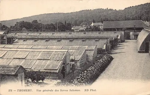 Frankreich Thomery Vue generale des Serres Salomon Gewächshäuser Postkarte B849