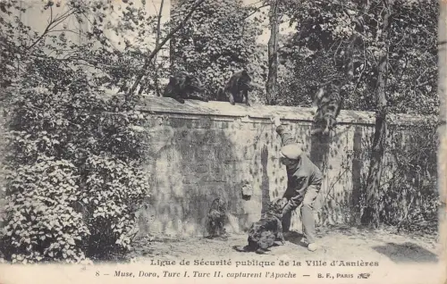 Frankreich Ligue de Securite Ville d'Ansieres Junge Hunde Muse Dora Turc Postkarte B850