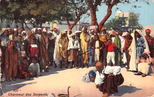 A618 Tunesien 1914 Charmeur des Serpents Schlangenbeschwörer Ureinwohner Postkarte