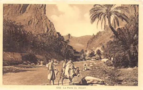 B019 Algerien Porte du Desert Native Boys Donkey Vintage Postkarte