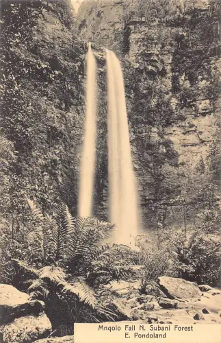 B023 Südafrika Manqolo Fall N Subani Forest E Pondoland Vintage Postkarte